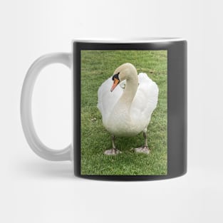 From Ugly Duckling to Beautiful Swan - Royalty in the Village Mug